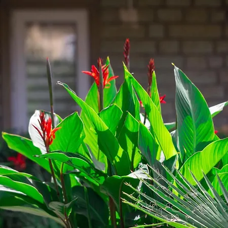 Kampues Garden Szálloda 4*