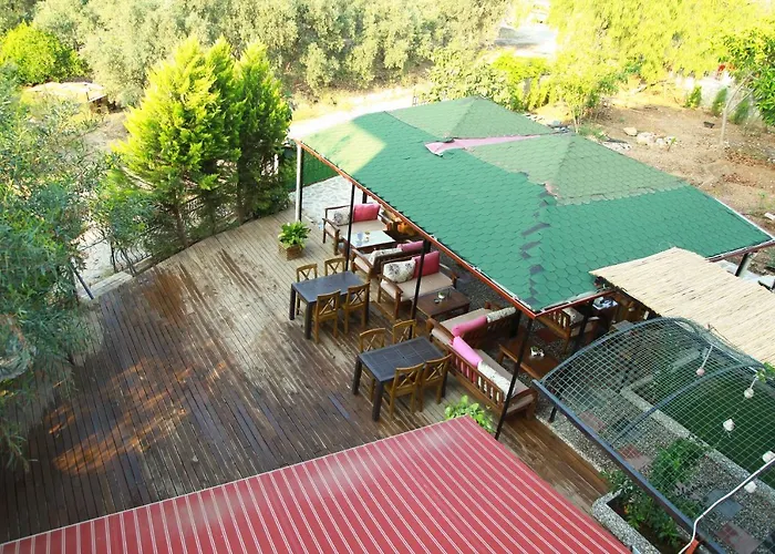 ホテル Kampues Garden フェティエ