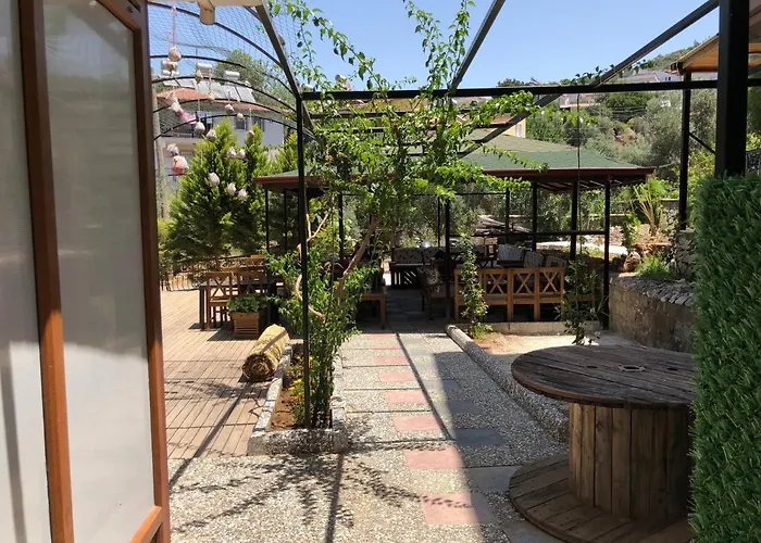 Kampues Garden 酒店 费特希耶